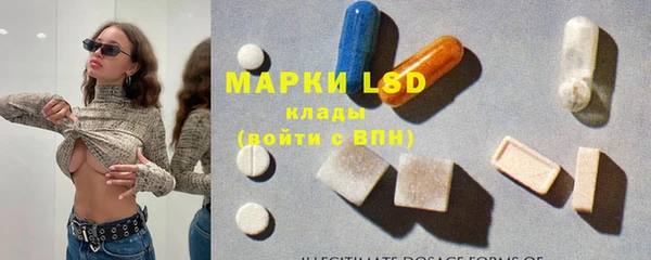 шишки Гвардейск