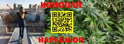 дживик Камышлов