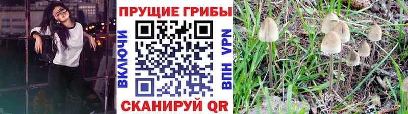 Галлюциногенные грибы MAGIC MUSHROOMS  Стрежевой 
