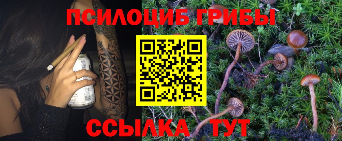 Псилоцибиновые грибы мицелий Стрежевой