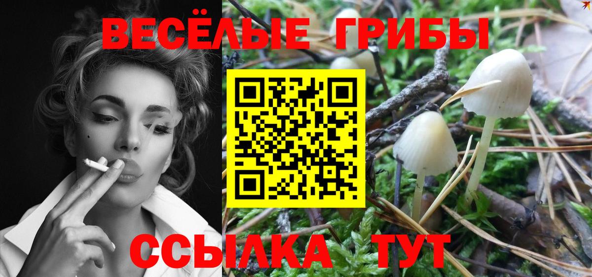 Стрежевой  Псилоцибиновые грибы ЛСД  наркошоп  Псилоцибиновые грибы Psilocybine cubensis  Вход с VPN 